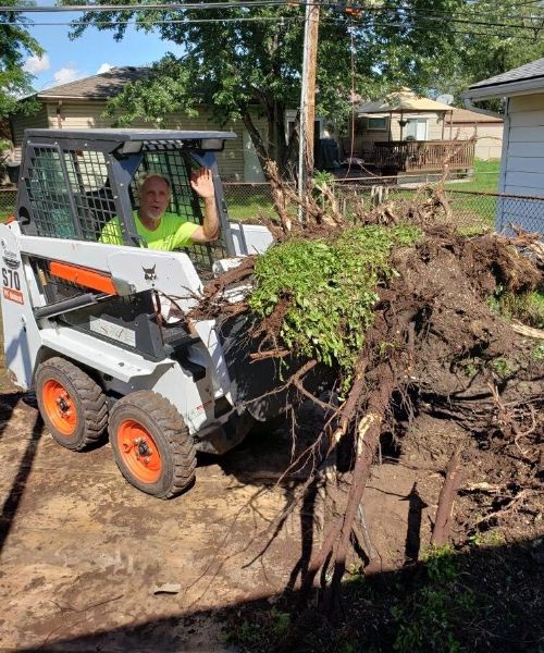 Landscaping Services Roseville MI 113