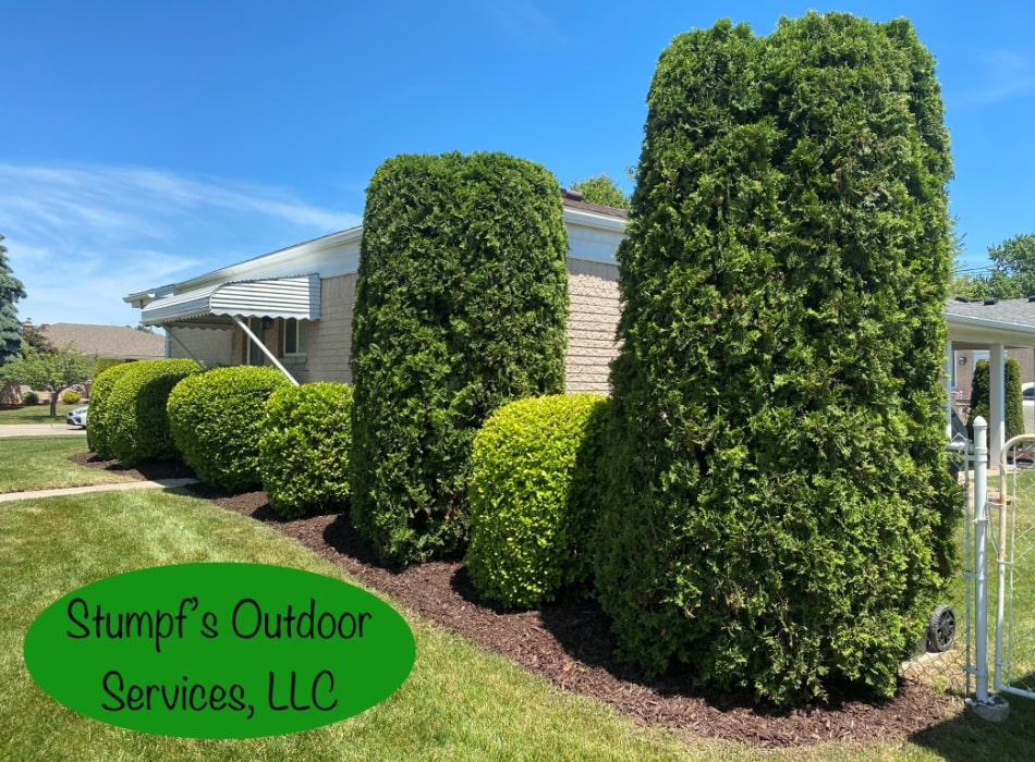 5 Star Landscaping Services in Roseville MI