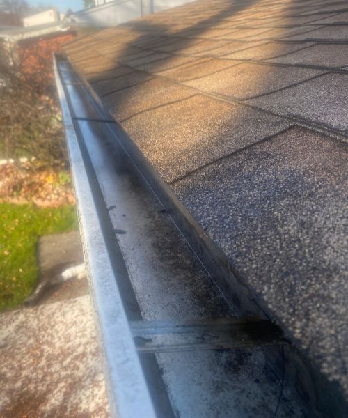 Lawn Care Roseville MI 104