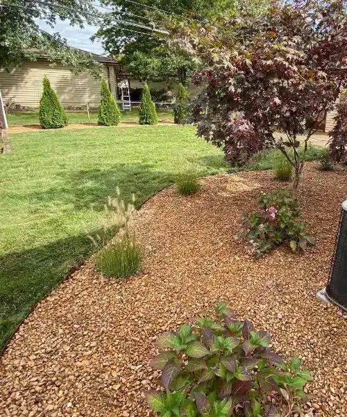 Landscaping near me in Roseville MI (2)