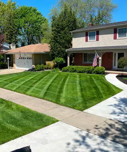 Lawn Care services near me in Warren MI (3)