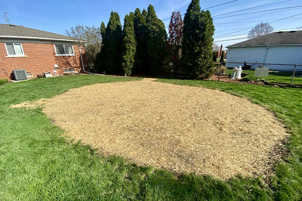 Landscaping Services near me in Roseville MI 12