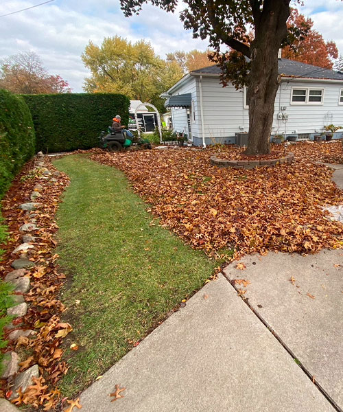 Lawn Care Services near me in Roseville MI 01