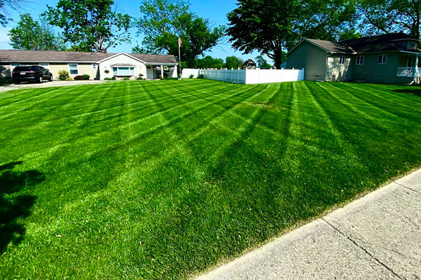 Lawn Care Services near me in Roseville MI 03
