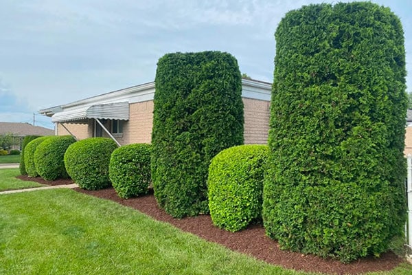 Lawn Care Services near me in Roseville MI 04