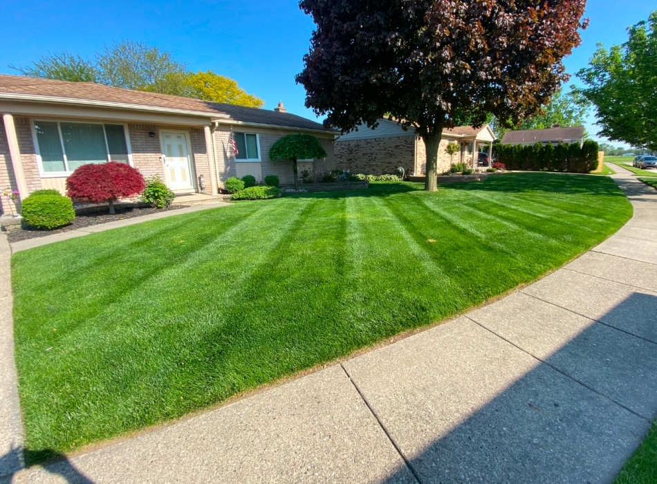 Lawn Care near me 02