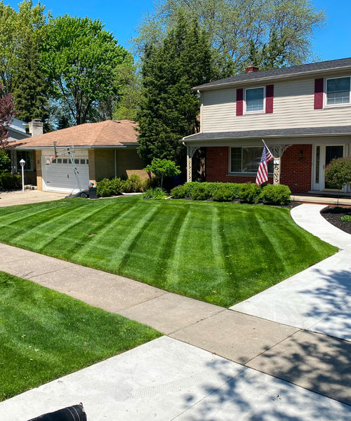 Lawn Care services near me in Warren MI 01