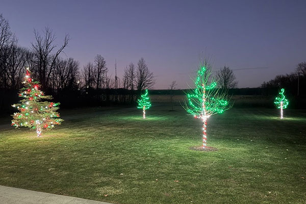 Christmas trees decorated with red, green, and white lights stand on a green lawn at dusk. Bare trees in the background add a wintry feel.